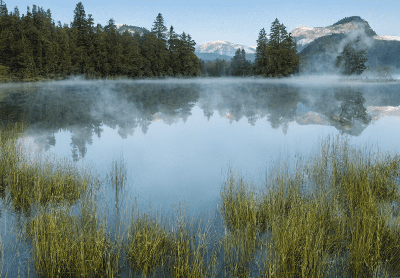 Beginner's guide to cold plunges benefits