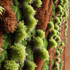 Living Building Materials innovative wall system