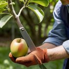 Illustration of Advanced grafting techniques for fruit