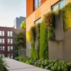 Urban re-wilding as social act, city reborn